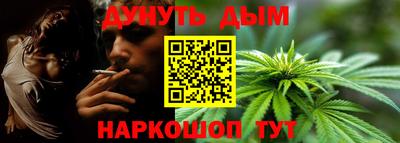индика Заволжье
