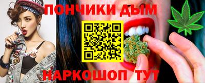 индика Заволжье