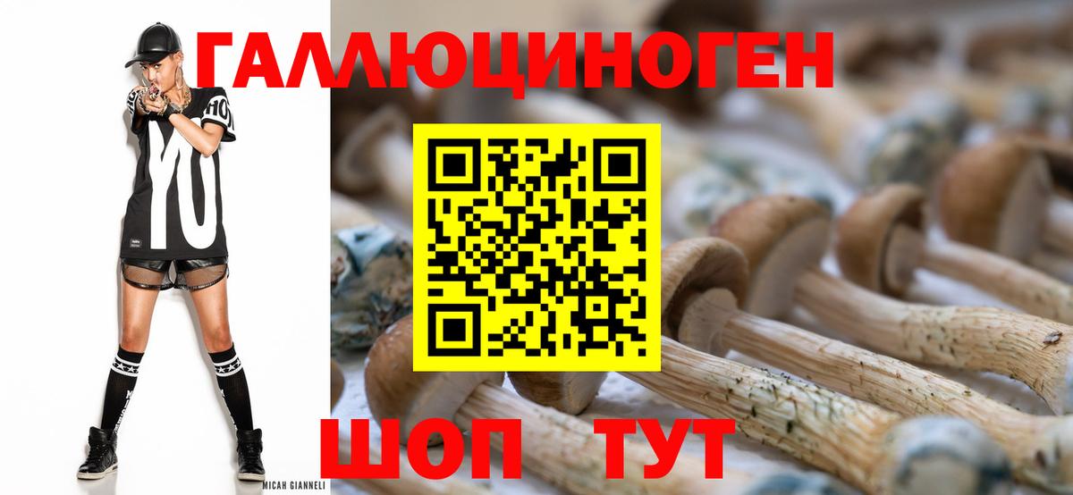 Псилоцибиновые грибы Magic Shrooms  Галлюциногенные грибы Psilocybine cubensis  Люберцы  Вход с VPN 